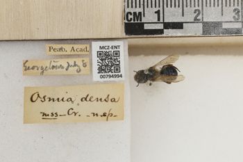 Media type: image;   Entomology 794994 Aspect: Labels
